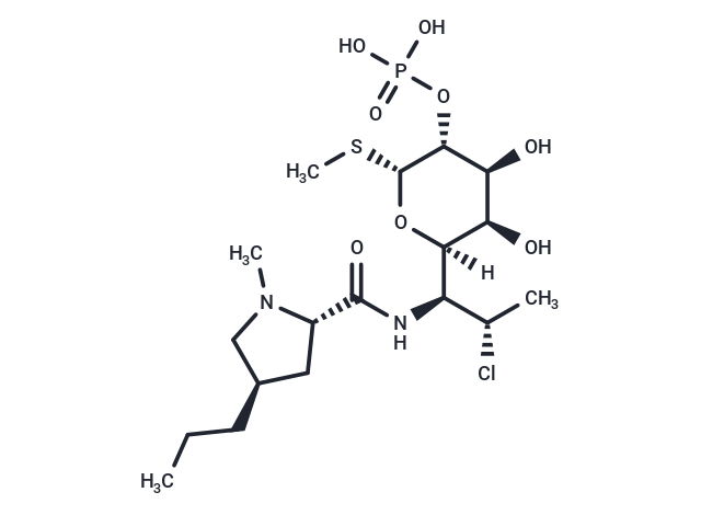 Clindamycin phosphate