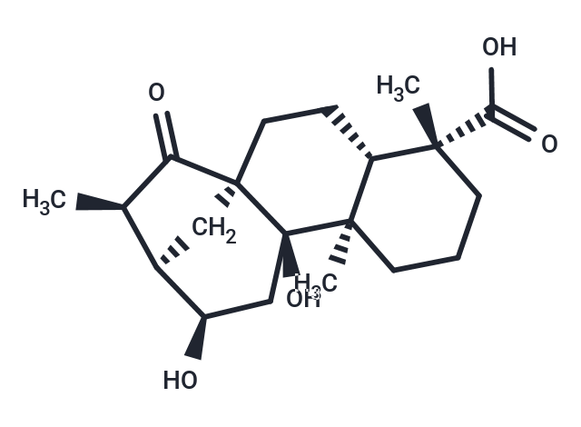 Pterisolic acid E