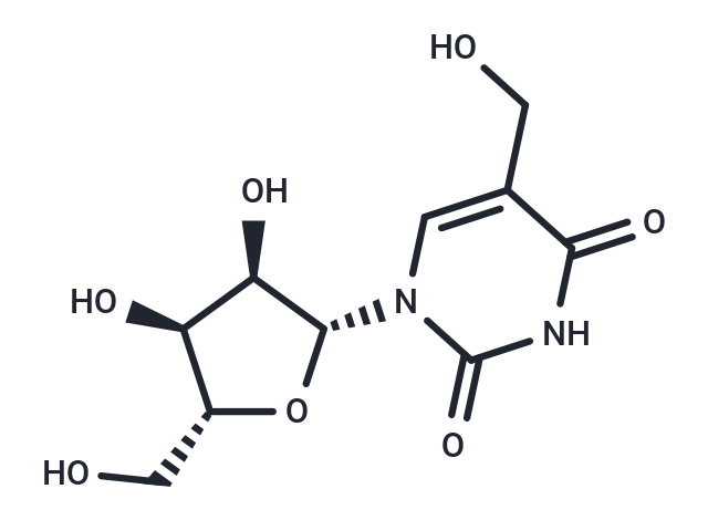 5-Hydroxymethyl uridine