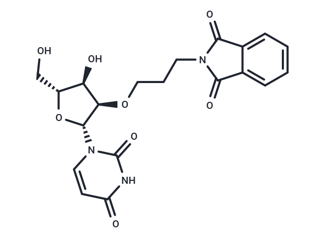 2'-O-Phthalimidopropyl uridine