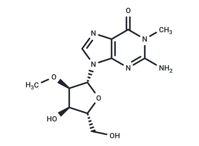 N1,2'-O-dimethylguanosine