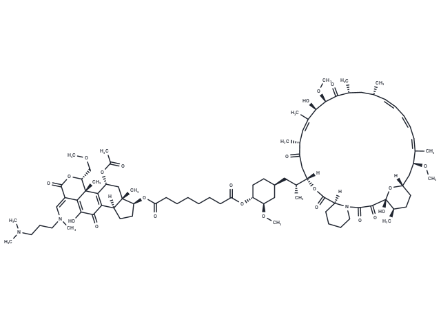 Wortmannin-Rapamycin Conjugate