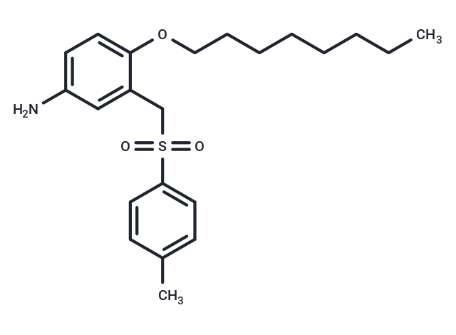 m-Toluidine, 4-(octyloxy)-alpha-(p-tolylsulfonyl)-