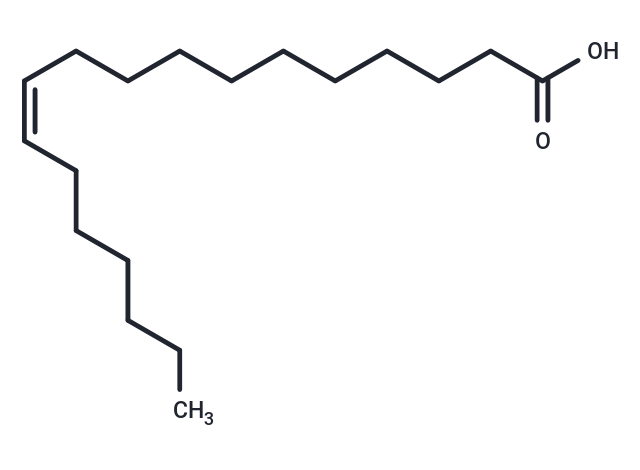 cis-Vaccenic acid