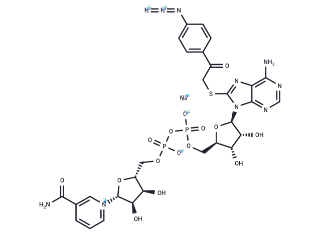8-(4-azidophenacylthio) NAD+ sodium