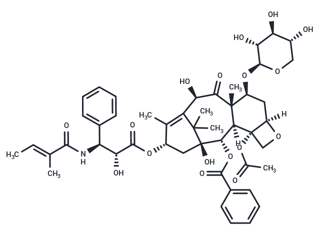 7-Xylosyl-10-deacetyltaxol B