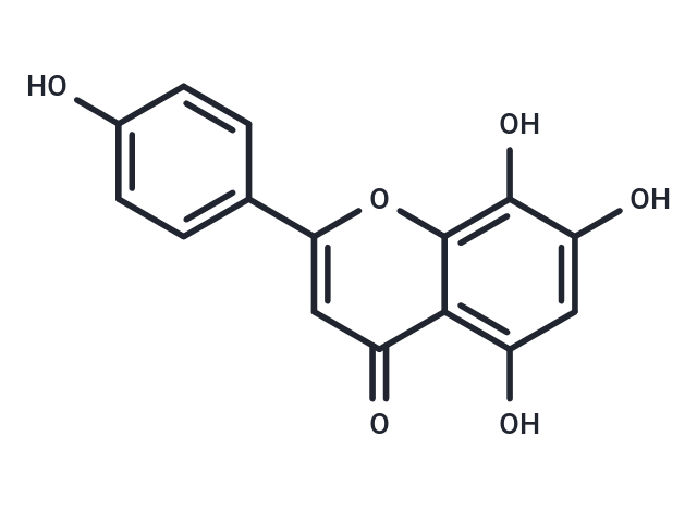 8-Hydroxyapigenin