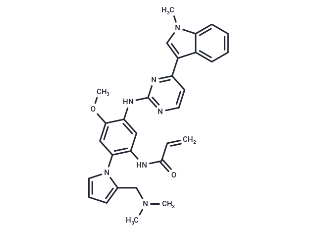 EGFR kinase inhibitor 1