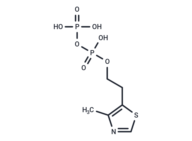 Thiamine diphosphate analog 1