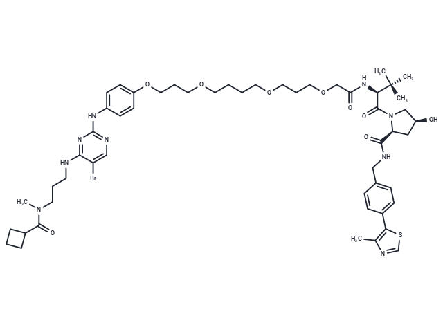 TBK1 control PROTAC® 4