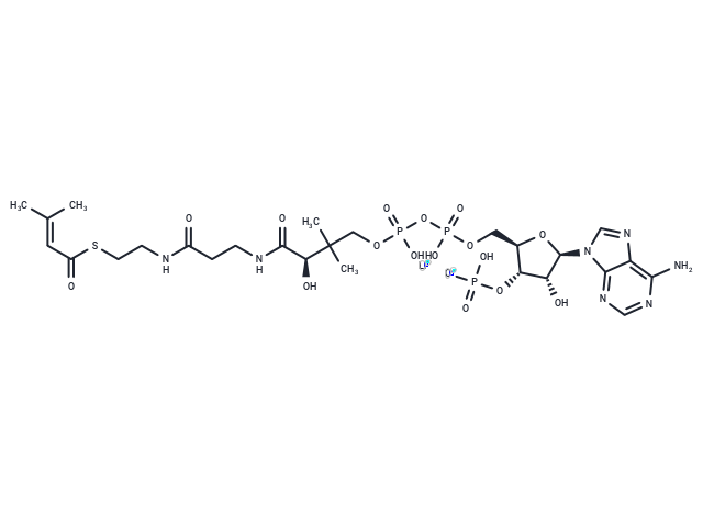 β-Methylcrotonyl coenzyme A lithium