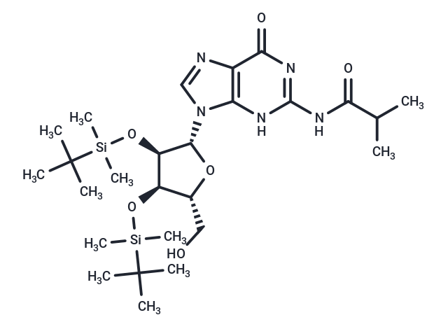 N2-iBu-2',3'-bis-O-TBDMS   guanosine