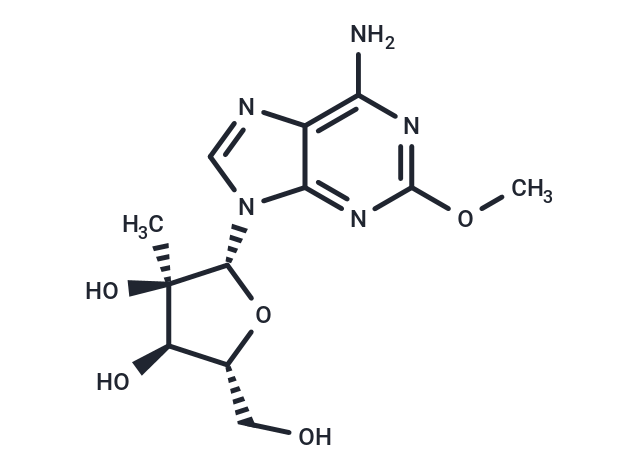 2'-C-Methyl-2-methoxyadenosine
