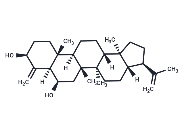 24-Norhopa-4(23),22(29)-diene-3Î²,6Î²-diol