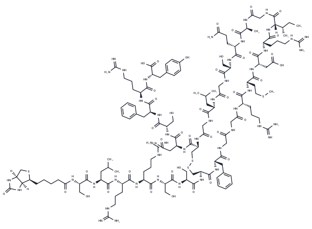 Atrial Natriuretic Peptide (1-28), human, porcine, Biotin-labeled