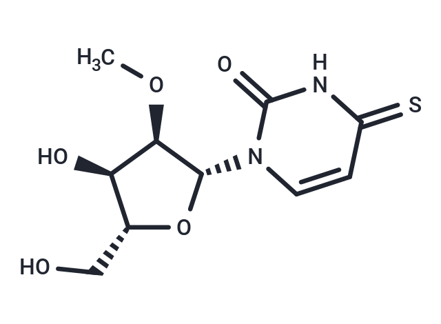 2'-O-Methyl-4-thiouridine