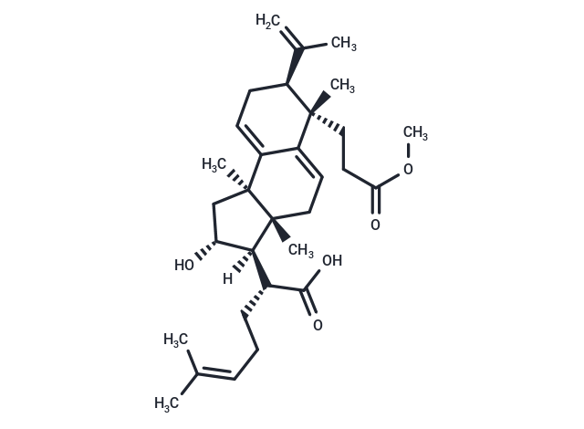 Poricoic acid BM
