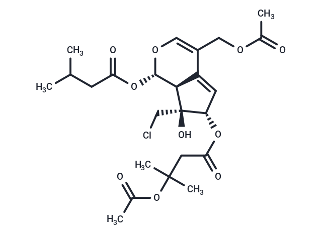 Valeriandoid B