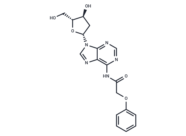 2'-Deoxy-N6-Phenoxyacetyladenosine