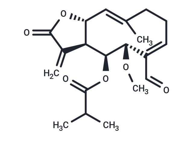 Acanthospermolide
