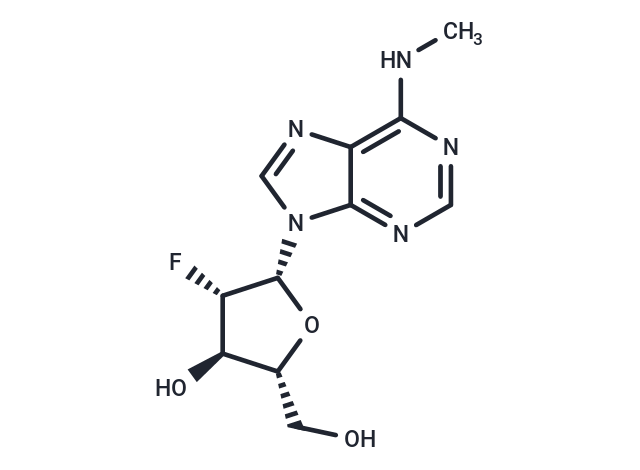 2'-Fluoro-2'-deoxy-N6-methylarabinoadenosine
