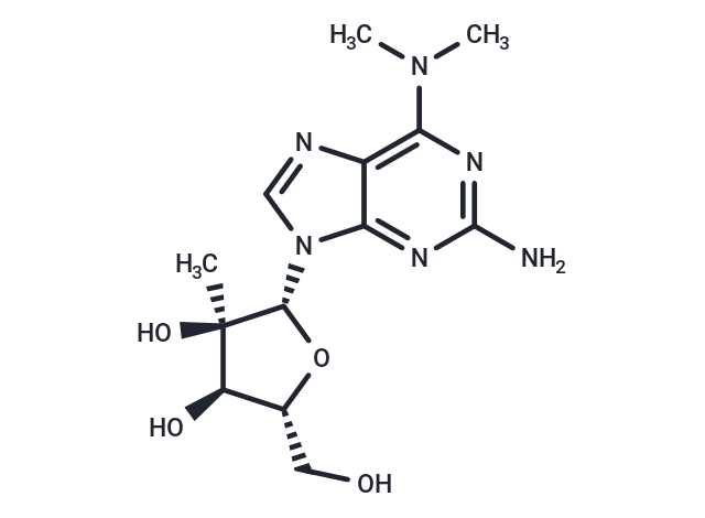 2'-b-C-Methyl-2-amino-N6,N6-dimethyladenosine