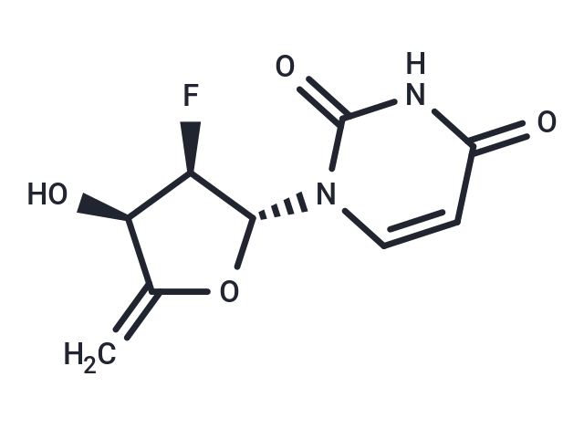 4',5'-Didehydro-2',5'-dideoxy-2'-fluorouridine