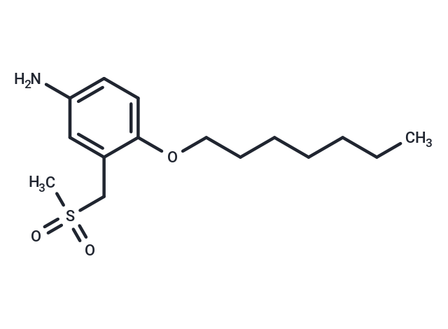 m-Toluidine, 4-(heptyloxy)-alpha-(methylsulfonyl)-