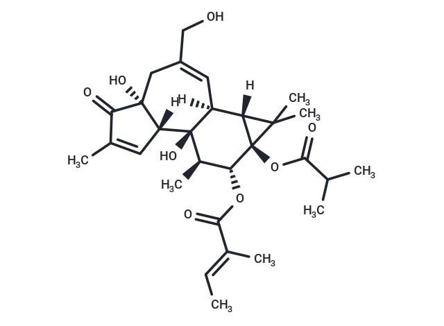 12-O-Tiglylphorbol-13 –isobutyrate