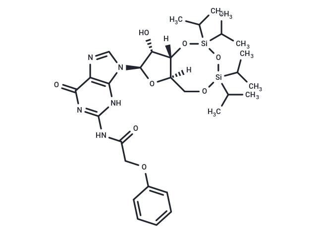 3',5'-TIPS-N-PAc-Guanosine