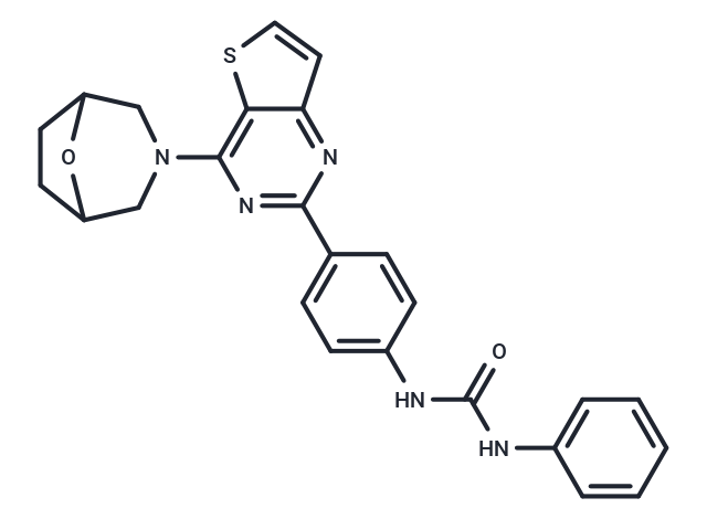 mTOR inhibitor 9f
