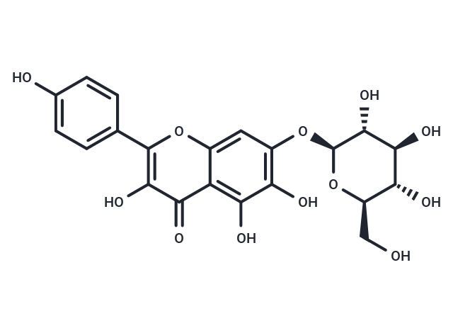 6-Hydroxykaempferol 7-O-β-glucopyranoside