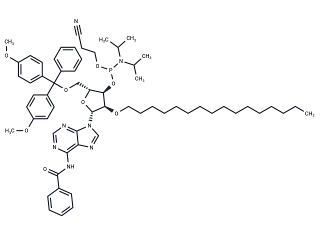 N6-Bz-5'-O-DMTr-2'-O-hexadecanyl adenosine 3'-CED phosphoramidite