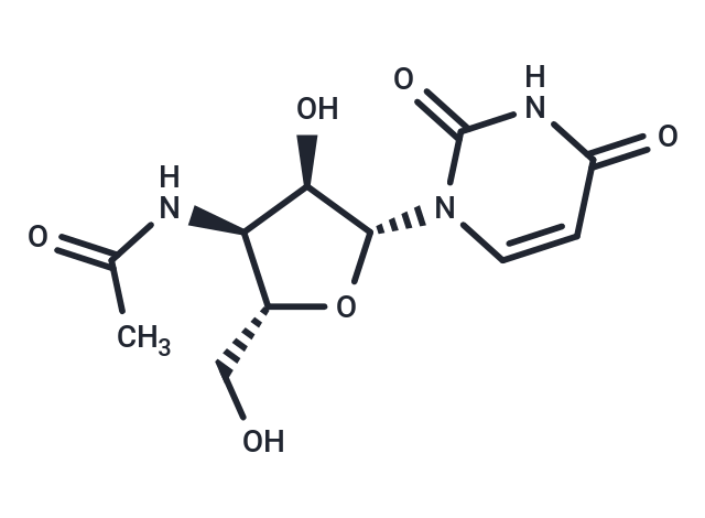 3'-N-Acetyl-3'-amino-3'-deoxyuridine