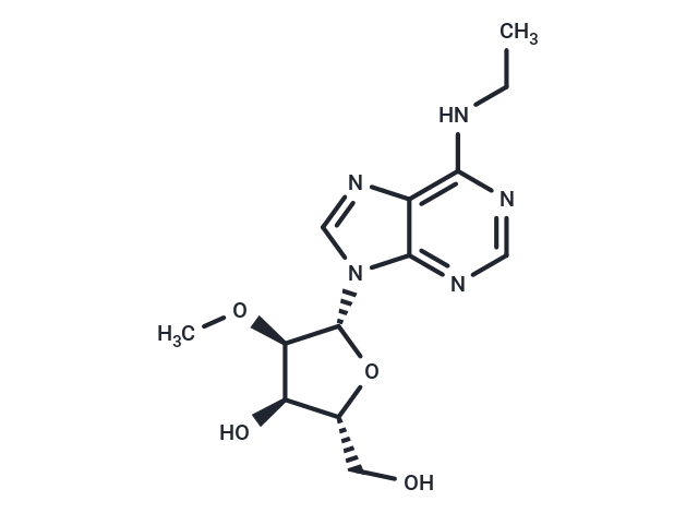 N6-Ethyl-2'-O-methyladenosine