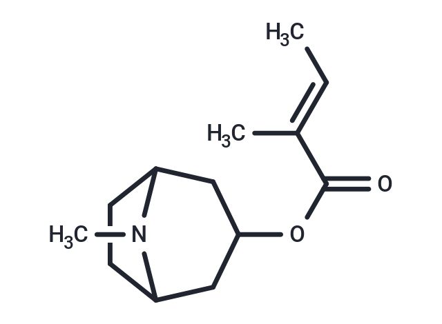 Tigloidine
