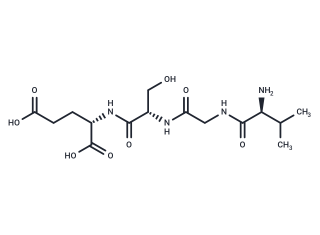 Val-Gly-Ser-Glu