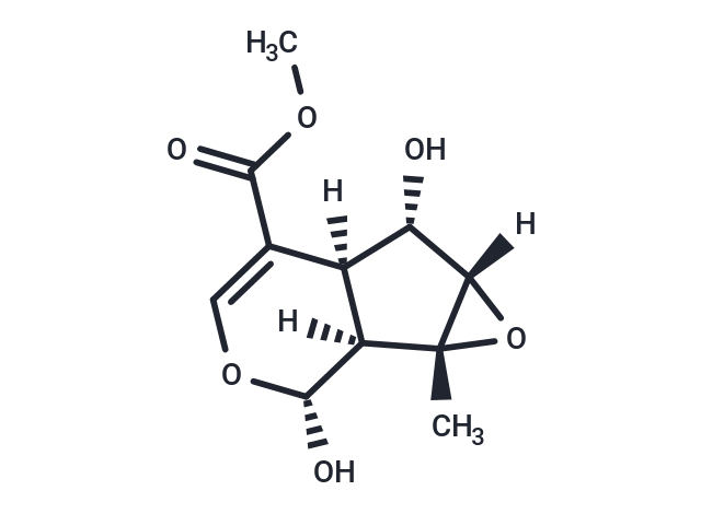 Lamiophlomiol A