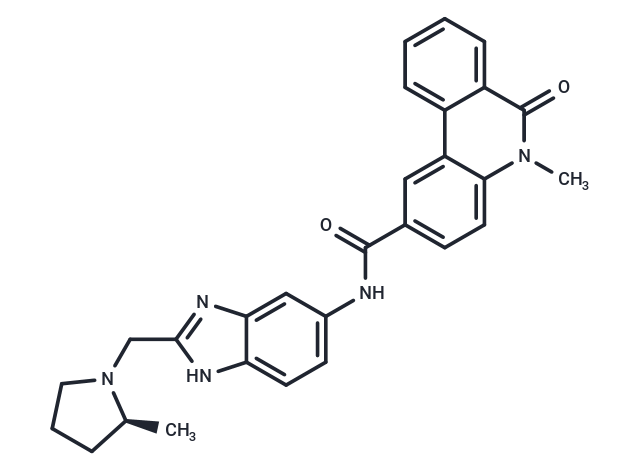 Eleven-Nineteen-Leukemia Protein IN-3