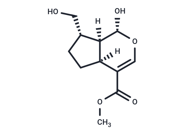 7-Deoxy-10-hydroxyloganetin