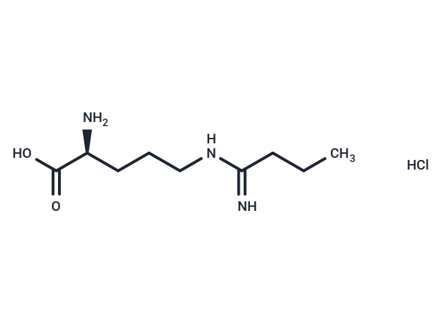 Ethyl-L-NIO (hydrochloride)