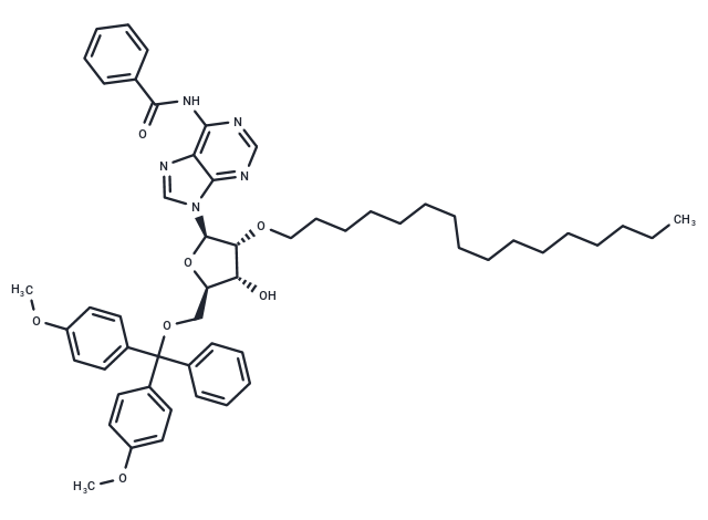 N6-Bz-5'-O-DMTr-2'-O-hexadecanyl adenosine