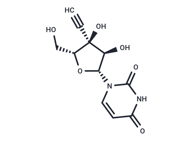 3'-beta-C-Ethynyluridine