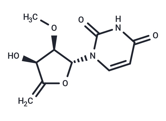 4',5'-Didehydro-5'-deoxy-2'-O-methyluridine