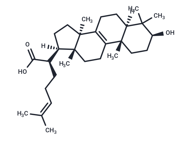 Trametenolic acid