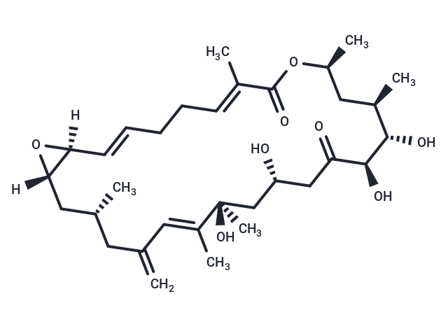 Amphidinolide D
