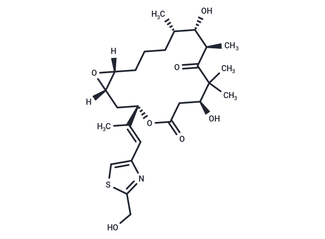 Epothilone E