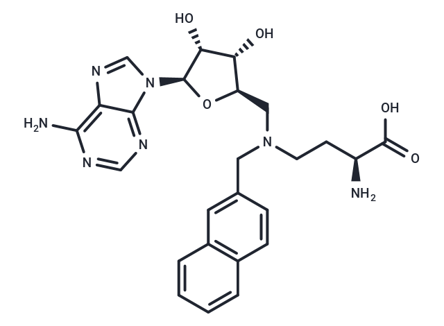 Bisubstrate Inhibitor 78