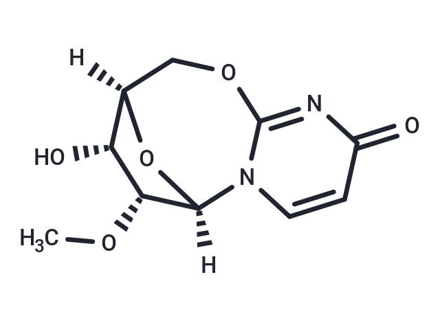 2'-O-Methyl-2,5'-anhydrouridine