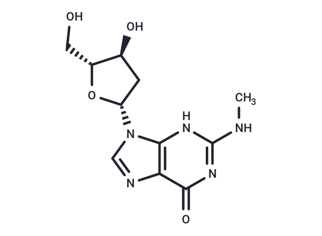 2'-Deoxy-N2-methylguanosine